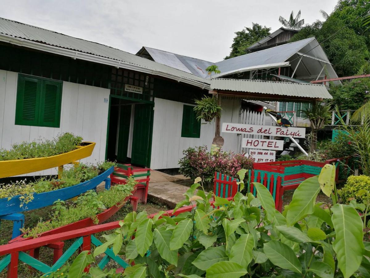 Hotel Lomas Del Paiyue Puerto Narino ภายนอก รูปภาพ